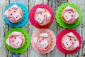 Pig cupcakes, animal shaped funny cakes for kids