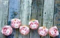 Pig cupcakes, animal shaped funny cakes for kids
