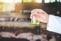 Pig disease researchers carry a bottle of chemical experiments to help farmers develop vaccines. Prevent an epidemic