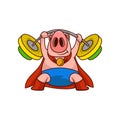 Pig superhero holding barbell above his head. Farm animal in blue shorts and red mantle. Cartoon vector design