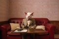 A pig dressed in casual clothes lies in a sofa at home, concept of Funny animal, created with Generative AI technology