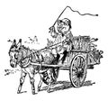 Pig Driving Car Pull By Donkey, vintage illustration