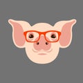 Pig face head glasses vector illustration style Royalty Free Stock Photo