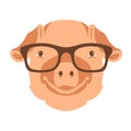 Pig face head glasses vector illustration style Royalty Free Stock Photo