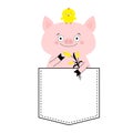 Pig face head in the pocket. Chicken bird, tulip. Cute cartoon animals. Piggy piglet character. Dash line. White and black color. Royalty Free Stock Photo