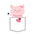 Pig face head in the pocket. Pink heart. Cute cartoon animals. Piggy piglet character. Dash line. White and black color. T-shirt