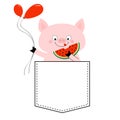 Pig face head in the pocket. Watermelon, balloons. Cute cartoon animals. Piggy piglet character. Dash line. White and black color Royalty Free Stock Photo