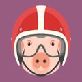 Pig face in helmet vector illustration flat style front Royalty Free Stock Photo