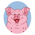 Pig face. Pig isolated. Pig portrait on white background, happy character piggy