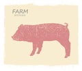 Pig Farm animal silhouette. Vector vintage symbol pig on old paper background Royalty Free Stock Photo