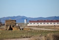 pig farm, industrial farm in the countryside with thousands of animals Royalty Free Stock Photo