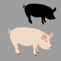 Pig flat style vector illustration black silhouette profile Royalty Free Stock Photo
