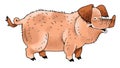 pig funny smart pet Piglet