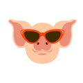 Pig in the glasses face vector illustration flat Royalty Free Stock Photo