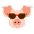 Pig in the glasses face vector illustration flat Royalty Free Stock Photo