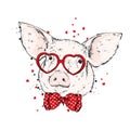 Pig with glasses in the form of hearts and with a tie.