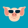 Pig in glasses vector illustration flat style front Royalty Free Stock Photo