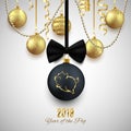 Pig glitter logo on Christmas decorative ball, New year 2019 chinese