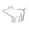 Pig with handrawn vector design