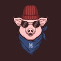 Pig head bandana illustration