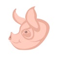 Pig head face vector illustration style Flat Royalty Free Stock Photo