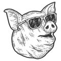 Pig head with glasses. Sketch scratch board imitation. Black and white.