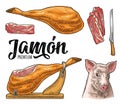 Pig head, jamon leg on horizontal wood stand. Vector engraving