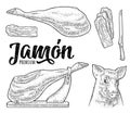 Pig head and jamon. Vector black vintage engraving