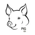 Pig head portrait, isolated Royalty Free Stock Photo