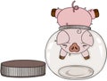 Pig head stuck in empty round glass transparent jar