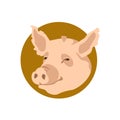 Pig head vector illustration Flat Royalty Free Stock Photo