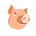Pig head vector illustration Flat Royalty Free Stock Photo