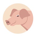 Pig head vector illustration flat style front Royalty Free Stock Photo