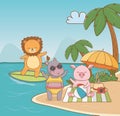 Pig hippo lion in the beach design