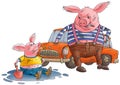 Pig and hog dirty. Royalty Free Stock Photo
