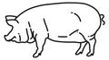 Pig icon. Black line farm animal symbol