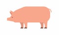 Pig icon. flat style Royalty Free Stock Photo