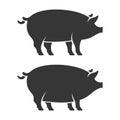 Pig Icon Set. Two Fat Pork. Vector