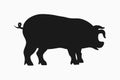 Pig icon. Silhouette of pig isolated on white background. Vector.