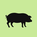 Pig icon Royalty Free Stock Photo