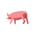 Pig icon on a white background. Vector illustration