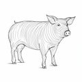 Continuous Line Pig Drawing On White Background In Cottagepunk Style