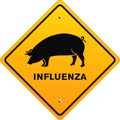 Pig influenza Royalty Free Stock Photo