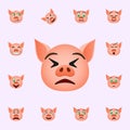 Pig in insistence emoji icon. Pig emoji icons universal set for web and mobile Royalty Free Stock Photo