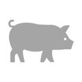 Pig Isolated Vector icon that can be easily modified or edited Royalty Free Stock Photo