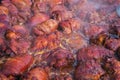 Pig knuckles, traditional Ukrainian delicatessen. meat is cooked at festivals in a large frying pan on fire Royalty Free Stock Photo