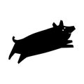 Pig, laser cutting path, shadow