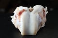 Pig leg bone show the cartilage joint. Royalty Free Stock Photo