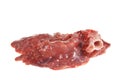 The pig lung on a white background Royalty Free Stock Photo