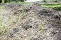 Pig manure fertilizer